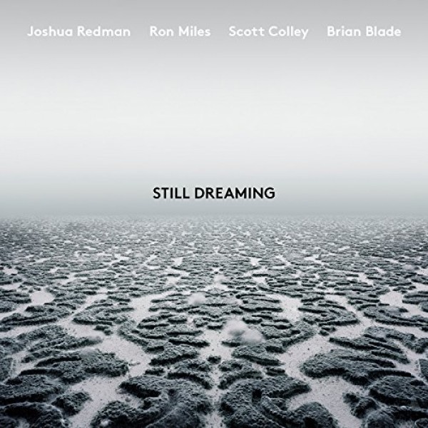 REDMAN JOSHUA - Still Dreaming
