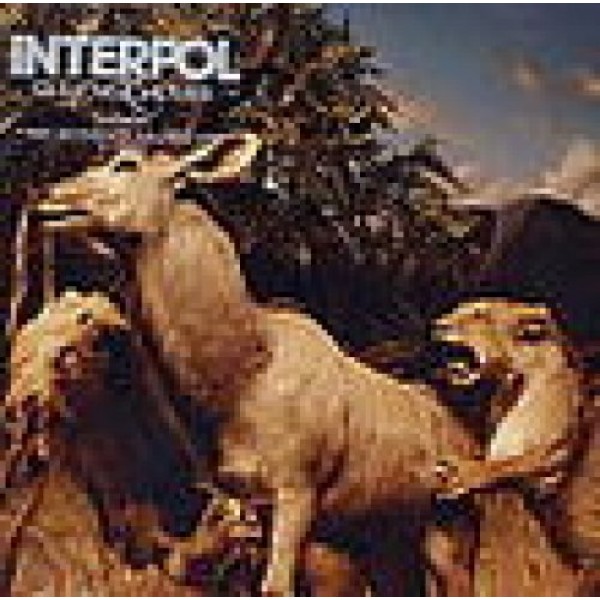 INTERPOL - Our Love To Admire (usato)