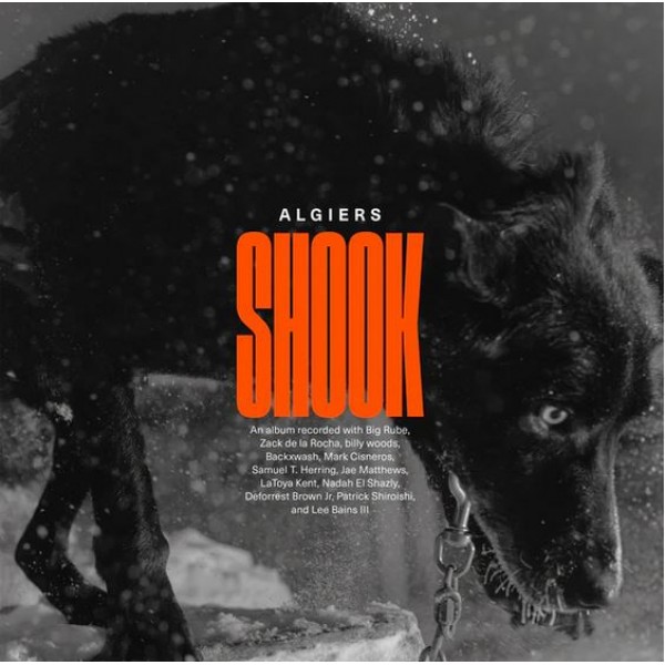 ALGIERS - Shook (vinyl Gold) (indie Exclusive)