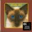 BLINK 182 - Cheshire Cat