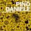 DANIELE PINO - The Best Of Pino Daniele Yes I Know My Way