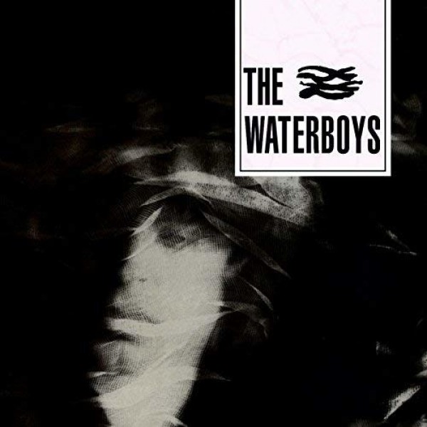 WATERBOYS THE - The Waterboys