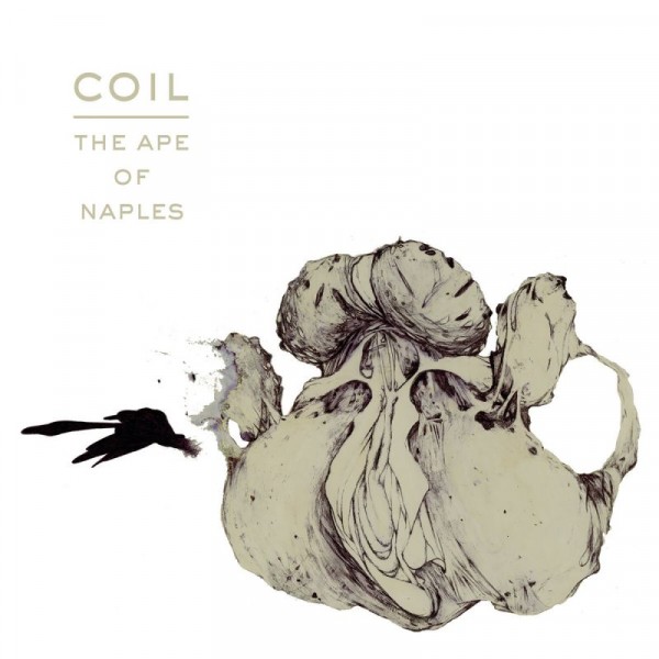 COIL - The Ape Of Naples (original Ape Artwork)