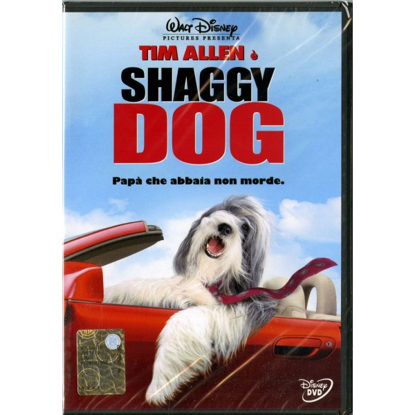 Shaggy Dog (usato)
